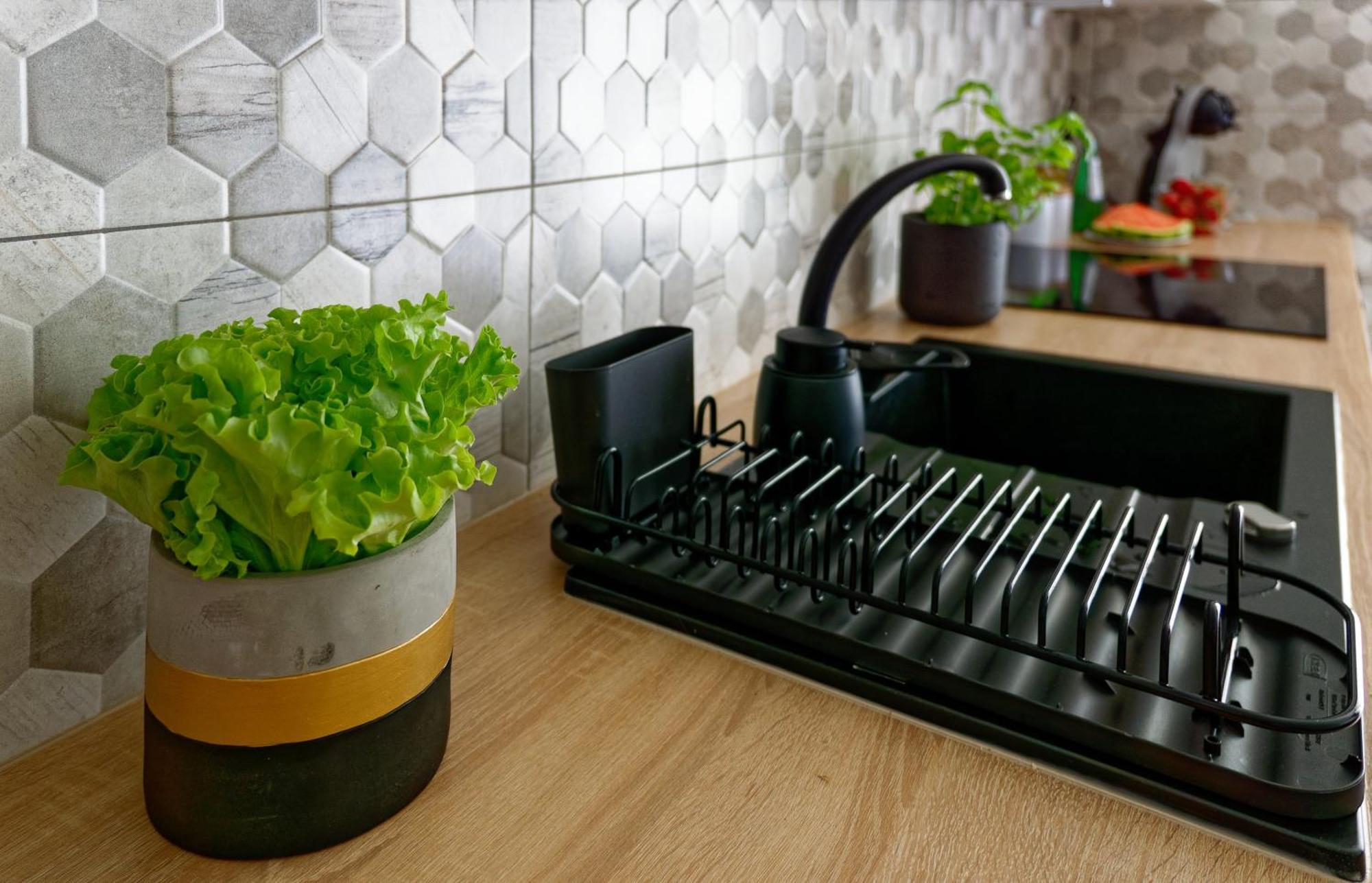 Przytulny Apartament Z Ogrodkiem W Doskonalej Lokalizacji Fair Rentals ヴロツワフ エクステリア 写真